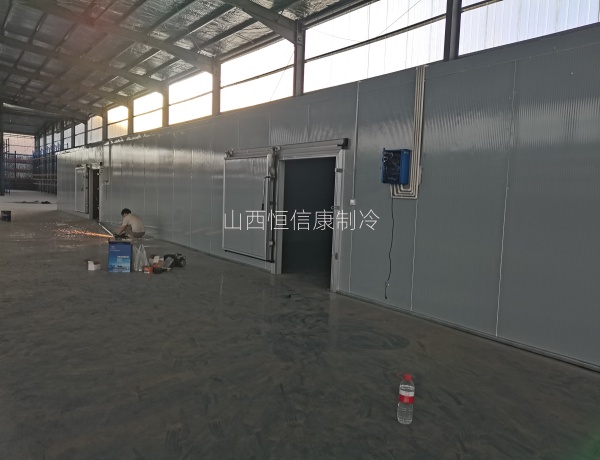 ɽ����������������